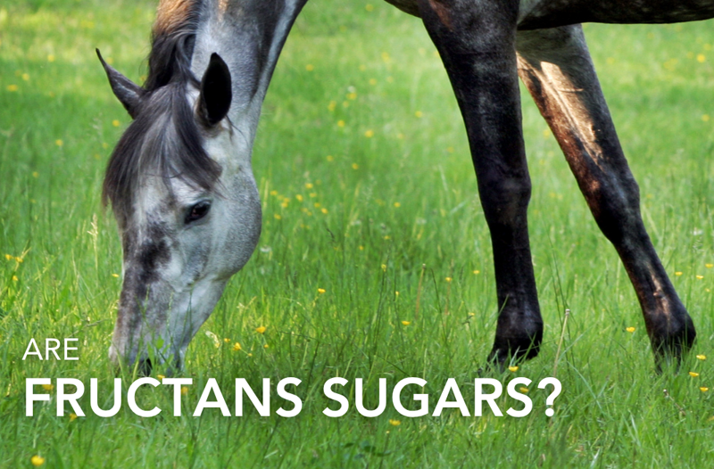 Are Fructans Sugars? | Equine Science Matters™